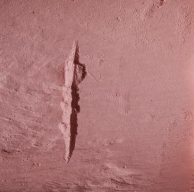 Bone Markings: Something for Researchers to Chew on (1 of 4)