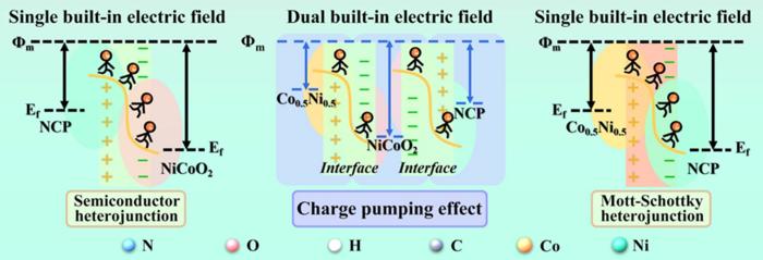 Schematic illustration for CoNi/N/C design. Design ideas of dual-BIEF constructed by semiconductor heterojunction and Mott-Schottky heterojunction.