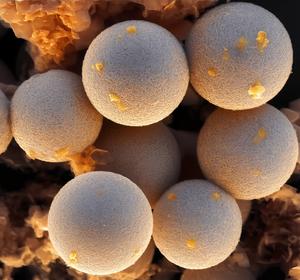 Research reinvents MXene synthesis