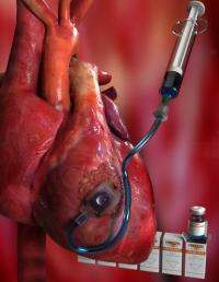 Illustration Therepi on a heart