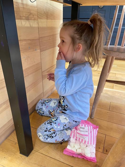 Research shows some babies can grasp art of deception even before their first birthday