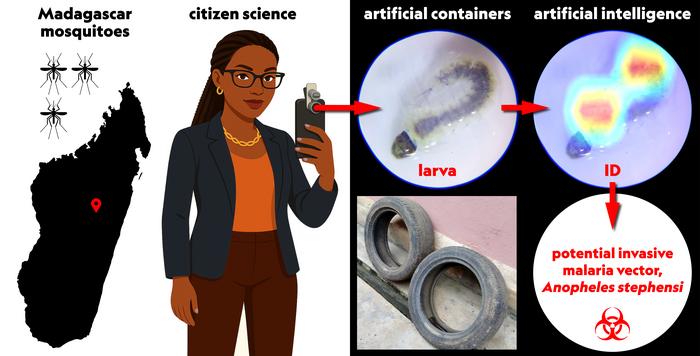 Graphical abstract -- Insects paper