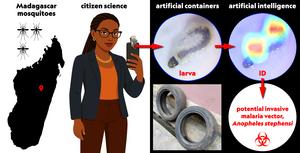 Graphical abstract -- Insects paper