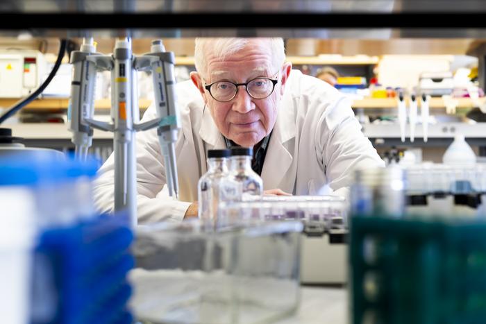 James Schwob, Tufts University School of Medicine