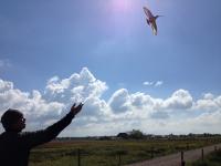 Mo Verhoeven releases a black-tailed godwit