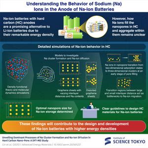A deep look into the behavior of sodium ions in hard carbon anodes