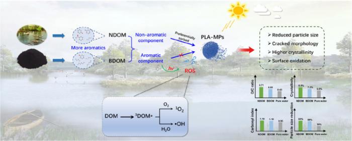 Unraveling the role of natural and pyrogenic dissolved organic matter in photodegradation of biodegradable microplastics in freshwater