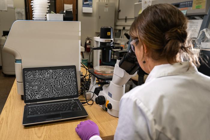 Chromatin regulation controls access to genes