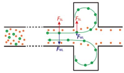Device Concept Schematic for Straight-Channel Inertial Miccrofluidics