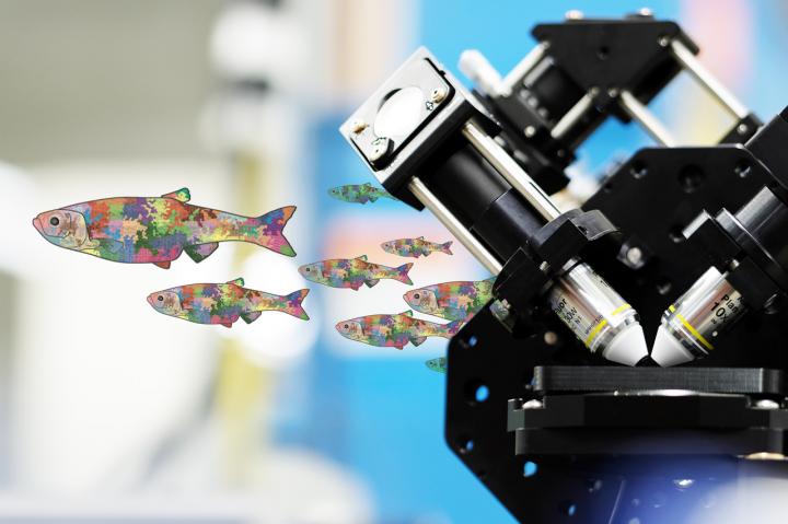 Mosaic Fish with Flamingo Microscope Graphic