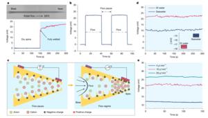 PolyU research unveils mechanoelectrical perception in sea urchin spines, empowering next-generation biomimetic sensors