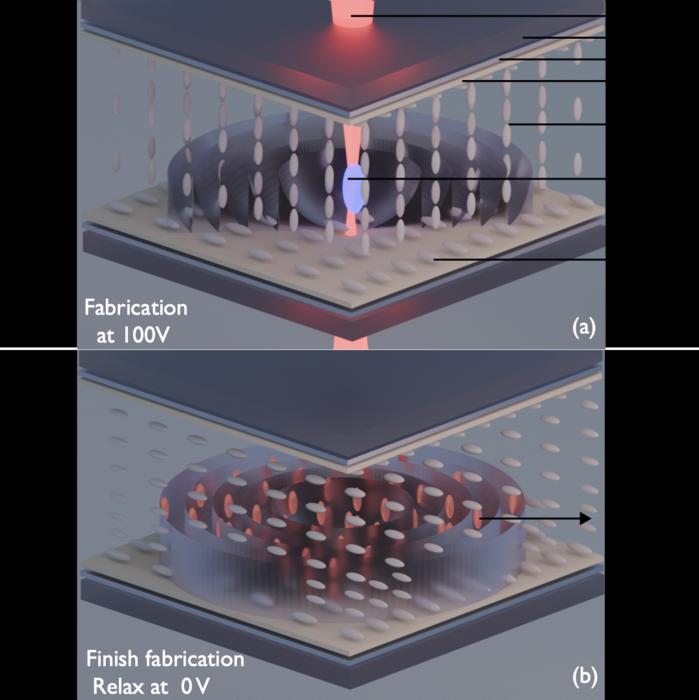 Figure 1 | Fabricating a continuous-phase liquid crystal Fresnel zone plate by femtosecond-laser 3D printing.