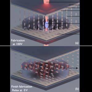 Figure 1 | Fabricating a continuous-phase liquid crystal Fresnel zone plate by femtosecond-laser 3D printing.