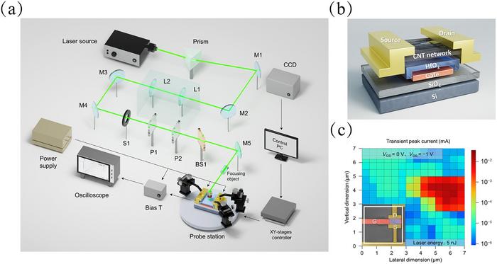 Single event effect in carbon nanotube electronics
