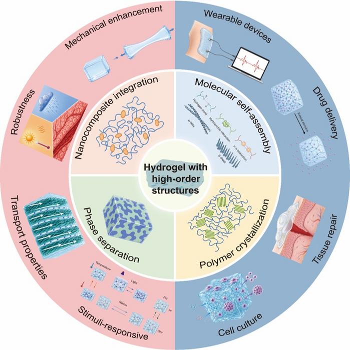 How High-Order Structures Can Transform Hydrogel Performance and Biomedical Function