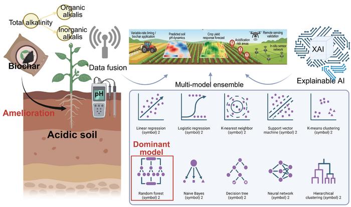Application and prospect of artificial intelligence in biochar for acidic soil amelioration