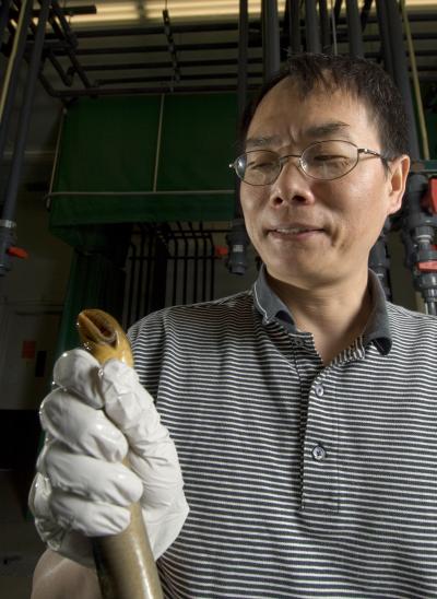Weiming Li with Lamprey