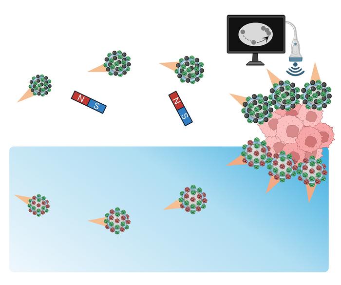 Two Types of Bubble Bots Target a Tumor in Different Ways