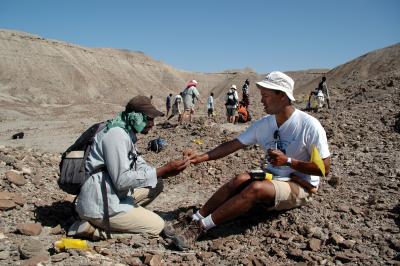 Zeray Alemseged in the Field