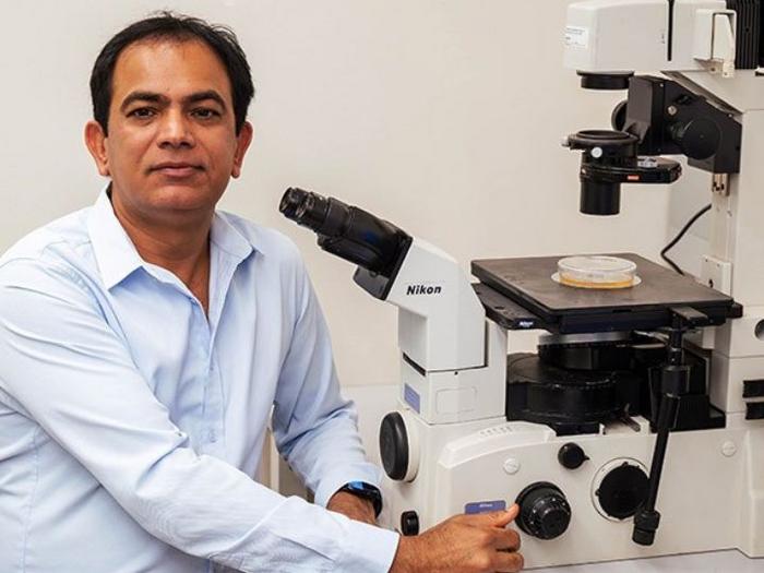Ashok Kumar, University of Houston Else and Philip Hargrove Endowed Professor of Drug Discovery at the UH College of Pharmacy and director of the Institute of Muscle Biology and Cachexia