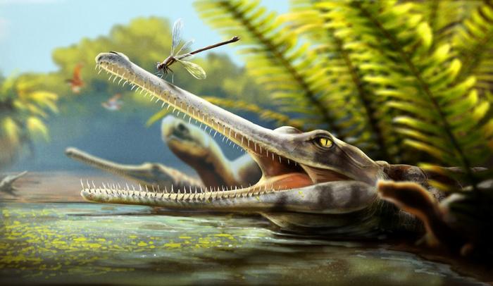 An artist’s restoration of Ctenosuchus tenuidens