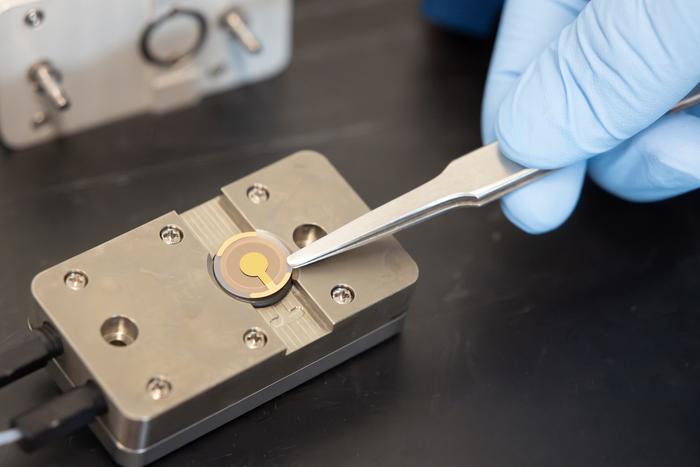 Connect grant funds smart biosensor coating research