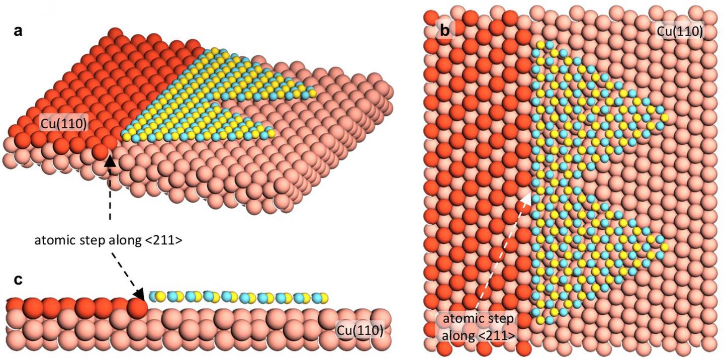 Figure 3 Edge-Coupling-Guided hBN Growth on Cu (110)