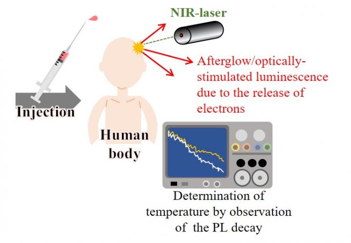 Sensing Internal Organ Temperature with Shining Lights