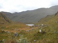 Habitat of the New Species