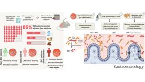 Why IBD patients react to foods they once tolerated
