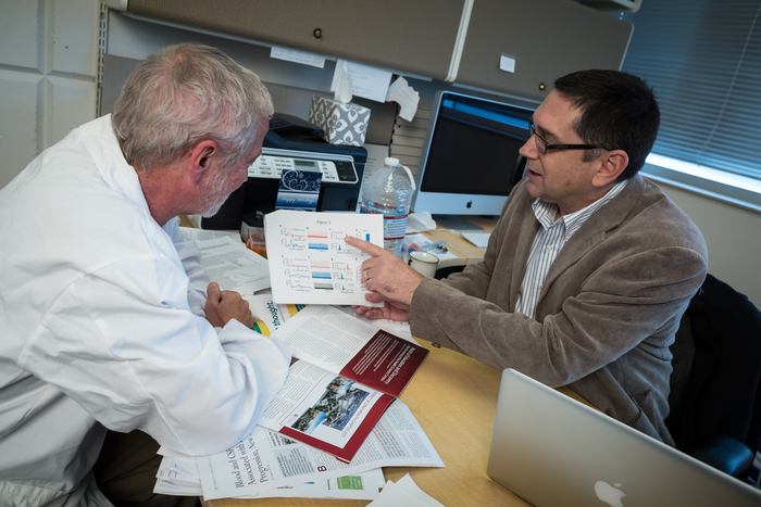 A high-throughput drug screen has identified a chemical compound that reduces signs of Parkinson's disease.