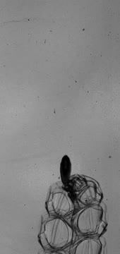 Multi-Jet Propulsion in a Colonial Siphonophore