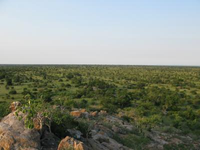 Tipping Points for Global Tree-Cover (3 of 11)