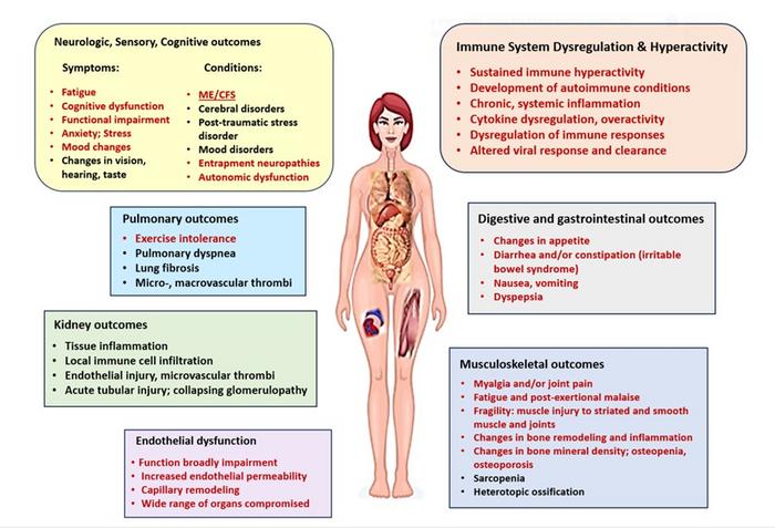 The multisystem presentation of long-haul COVID-19 displays striking similarity with ME/CFS.