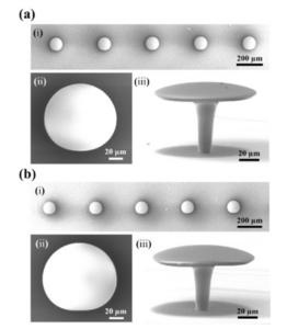 PolyU researchers pioneer 3D micro-printed sensors to advance on-chip biosensing for early disease detection