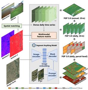 The workflow of in-time land cover change mapping with multimodal data, dense surface observations, and SAM (FGP 3.0).