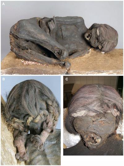 Macroscopic Aspect of the Mummy