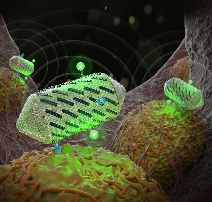 Protein-Shelled Gas Vesicles Used in Ultrasound Imaging