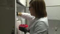 Redefining Sepsis: B-Roll
