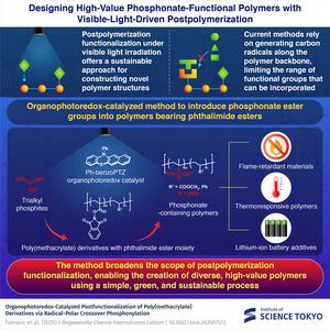 Designing High-Value Phosphonate-Functional Polymers with Visible-Light-Driven Postpolymerization