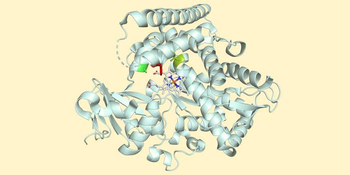 Protein structure