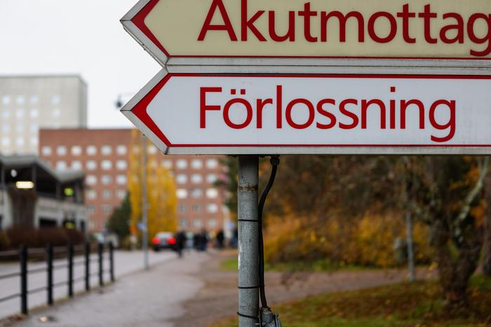 Maternity Ward, Falun Hospital.