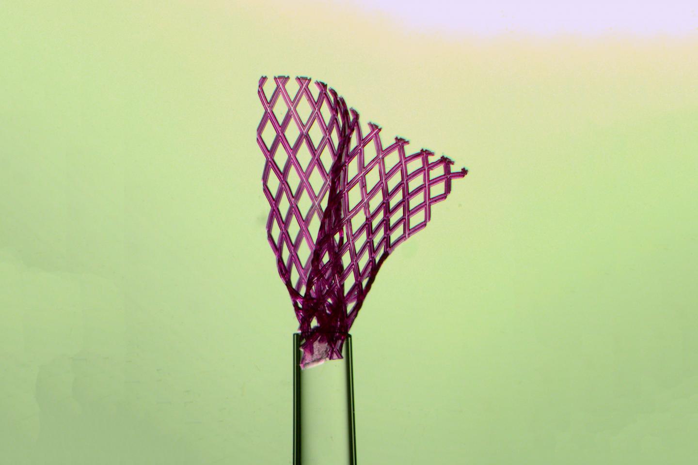 Injectable Tissue Scaffold