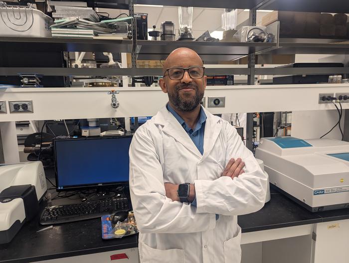 Professor Tizazu Mekonnen