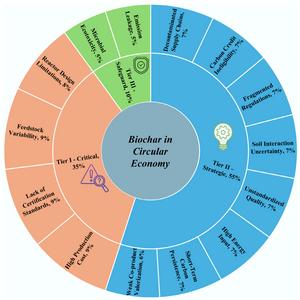 Biochar in circular economy and sustainable development: addressing technical variability, policy gaps, and sustainability constraints
