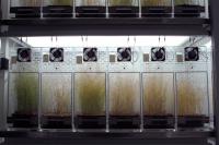 Detailed View of the Selection Experiment