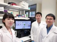 Image 2 The research Team