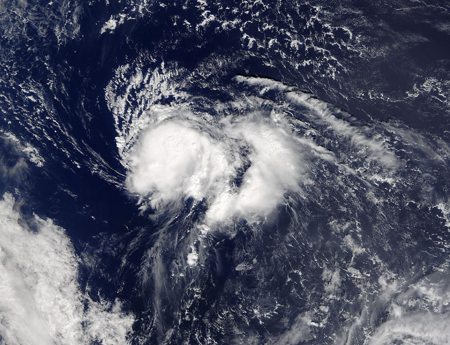 Terra Image of Nicole