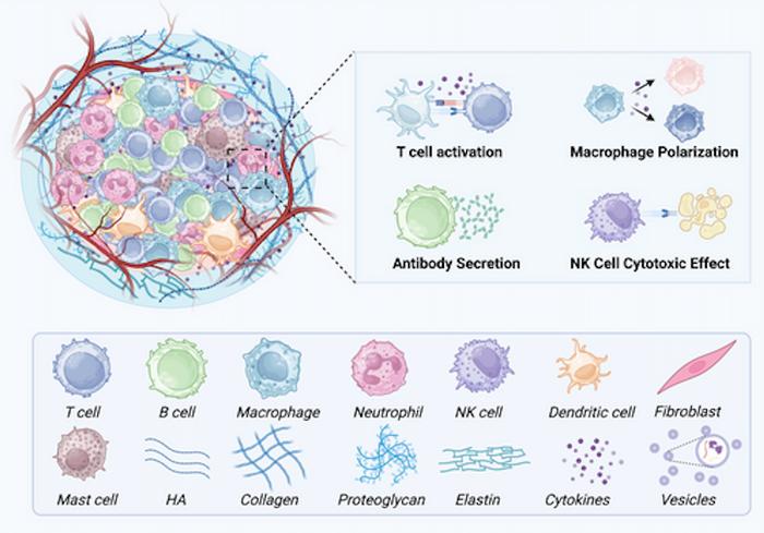 Cellular and molecular components of the immune microenvironment.