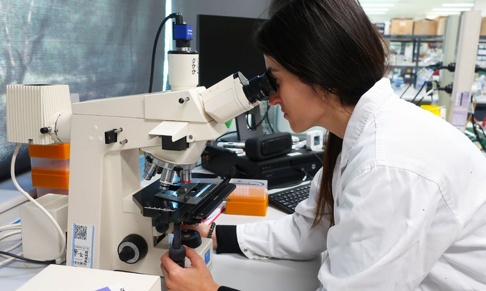 Priscila Cardoso Microscope